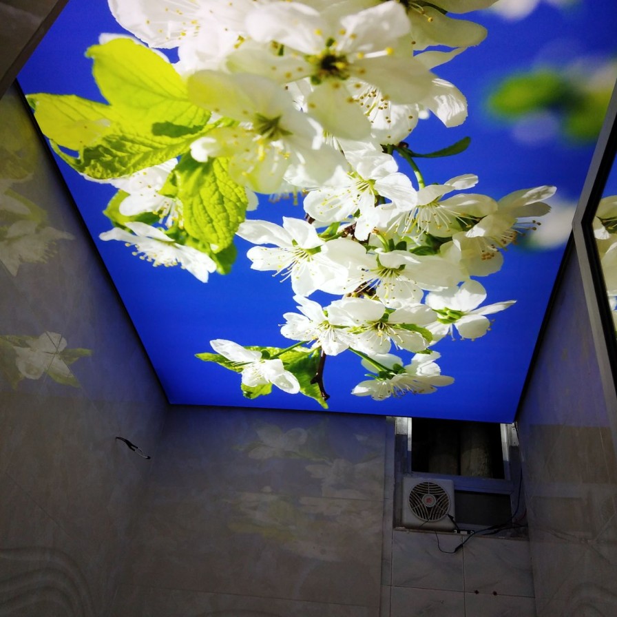 Spring blossom stretch ceilingسقف کشسان شکوفه بهاری